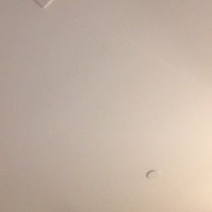 Meet your Posher, Wayne